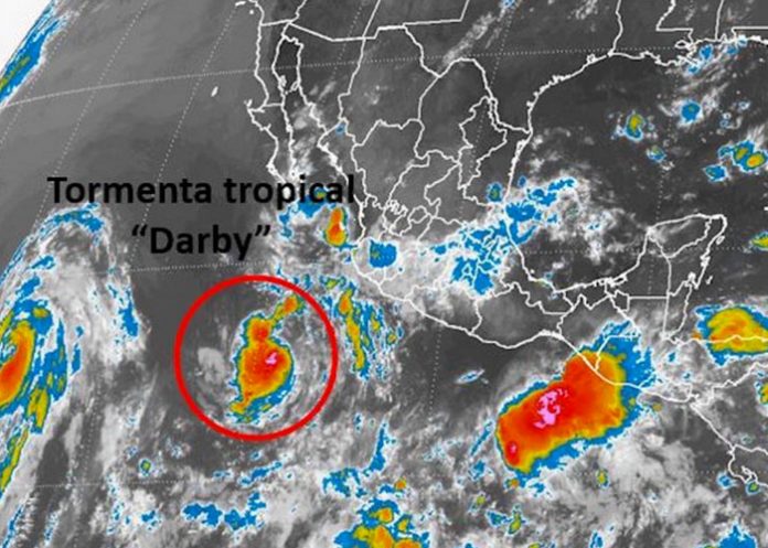 darby