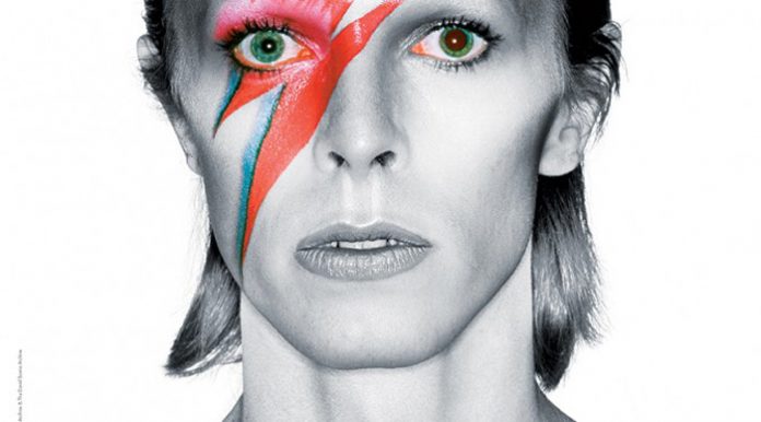 david-bowie-tirbuto-skype
