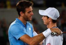 Copa Davis: Del Potro ante Murray