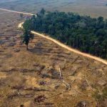 brasil, medio ambiente, deforestacion, amazonia,