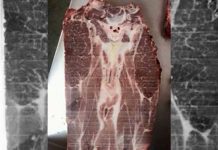 ¿Bistec infernal? demonio se manifestó en un trozo de carne