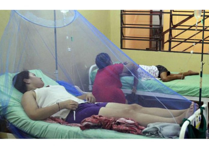 dengue