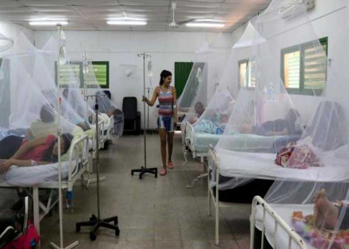 dengue