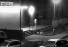 Hombre se cree un hombre lobo, se desnuda y empieza a atacar a todos