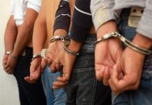 España: Operación policial deja a 6 pedófilos detenidos