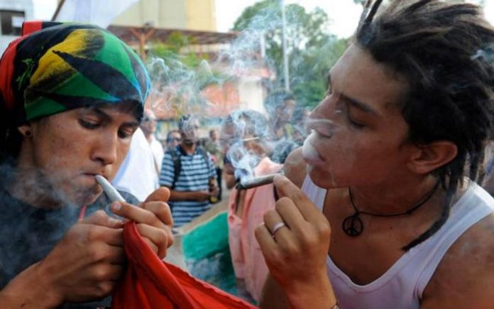 dia-mundial-de-la-marihuana
