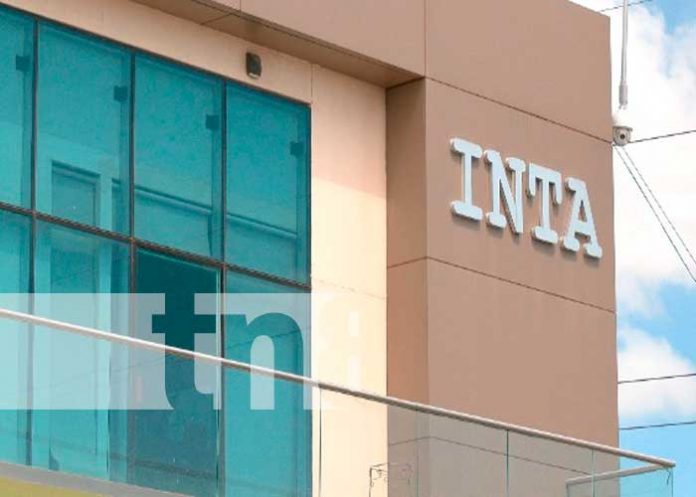 Nicaragua, INTA, agricultura digital, estrategias,