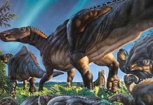 Descubren un inesperado vivero de dinosaurios en el Ártico vivero, dinosaurio, descubrimiento, antartida,