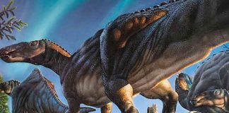 vivero, dinosaurio, descubrimiento, antartida,