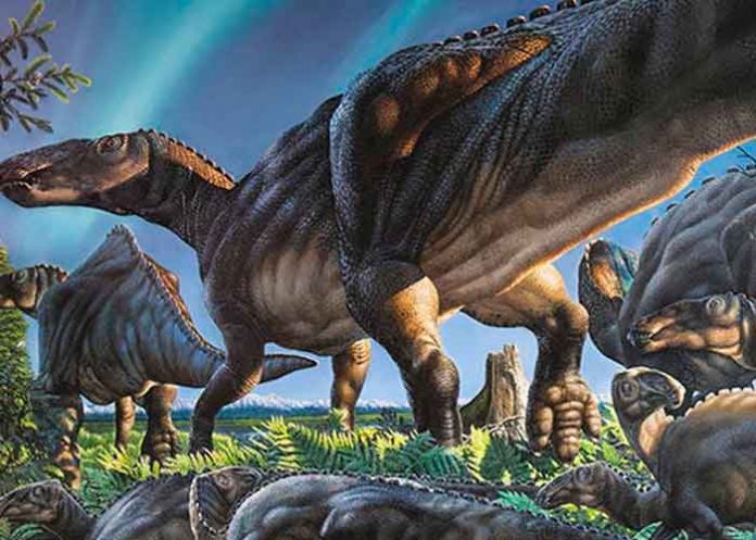 vivero, dinosaurio, descubrimiento, antartida,