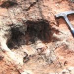 Hallan más de 10 mil huellas de dinosaurios en Bolivia