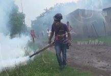 Duro contra el mosquito en Diriomo