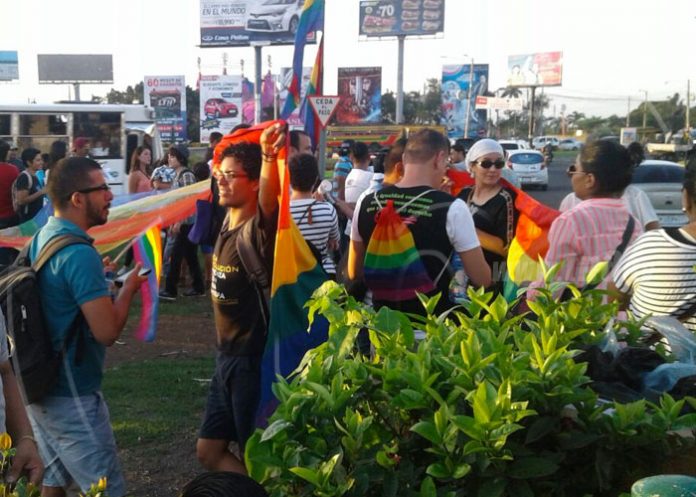 diversidad