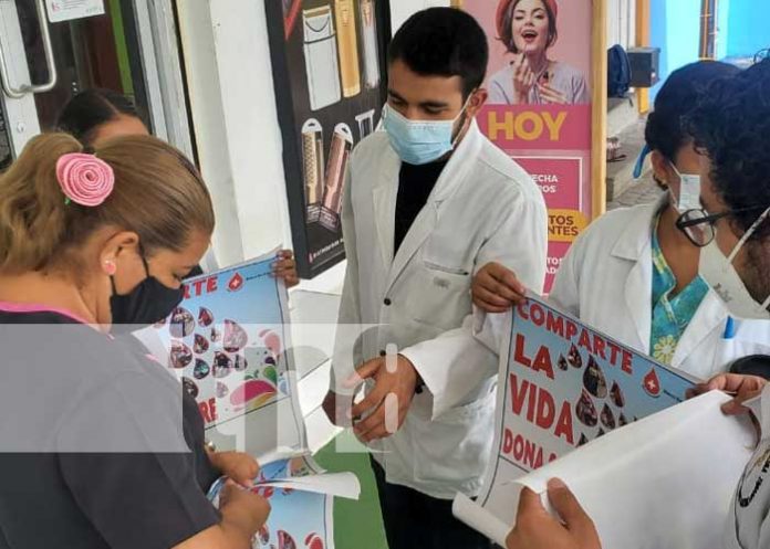 nicaragua, donacion, sangre, salud,