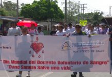 Celebran Día Mundial del Donante Voluntario de Sangre
