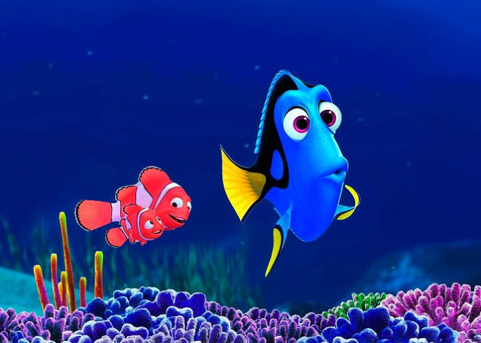 dory1