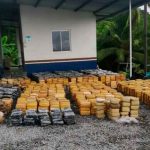 Decomisan droga y detienen a tres suramericanos en Panamá panama, decomiso, droga, paquetes, deteccion, sujetos, autoridades,
