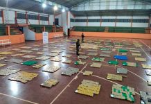 Golpe al narcotráfico: Secuestran más de tres toneladas de marihuana en selva misionera argentina, secuestro, toneladas, marihuana, selva misionera,