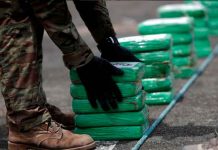 Incautan 6 toneladas de cocaína en el suroeste de Colombia colombia, incautacion, toneladas, cocaina, suroeste,