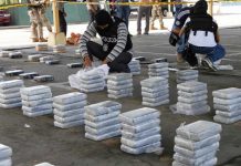 Panamá: Confiscan más de media tonelada de drogas