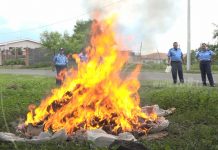 Policía de Chinandega quema 50,576. 9 gramos de droga