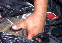 Cuatro sujetos son capturados por distribuir marihuana