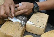 Decomisan marihuana y detienen a 5 colombianos en Panamá