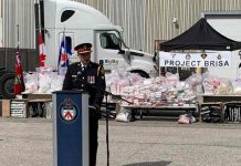 canada, drogas, narcotrafico, mexico,