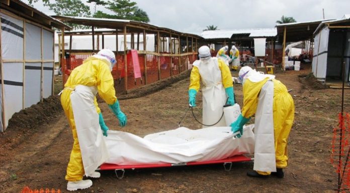 ebola-e1447067312468