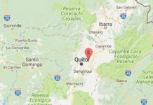 Sismo de 4.6 estremece este domingo Quito