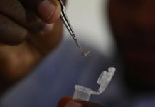 Ecuador detecta un brote de malaria con 100 casos nuevos