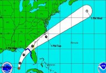 Depresión tropical se convierte en tormenta ‘Colin’ en EE.UU.