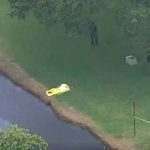 Estados unidos, florida, dos niñas, canal,