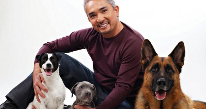 el-encantador-de-perros-investigado