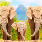 ¡Ternuritas! Captan a manada de elefantes tomando una siesta (VIDEO) video, china, manada, elefantes, viral, siesta, redes sociales, mamiferos,