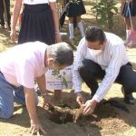 nicaragua, japon, embajador, arboles,