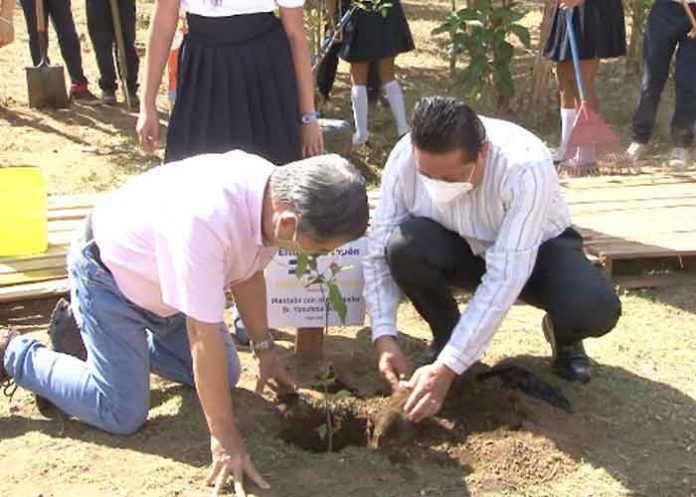 nicaragua, japon, embajador, arboles,