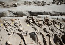Arqueólogos resolven asesinato masivo de 2.500 años de antigüedad