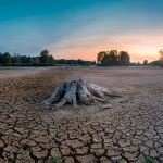 «Potencialmente mortal»: El oeste de EE.UU. enfrenta una sequía histórica