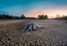 «Potencialmente mortal»: El oeste de EE.UU. enfrenta una sequía histórica
