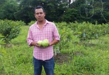 Realizan feria de las guayabas en Estelí