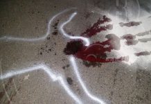 Peatón muere bajo las llantas de un furgón conducido tico