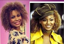 Nicas parecidos a famosos artistas internacionales