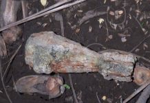Pescan granada RPG7 en el Xolotlán