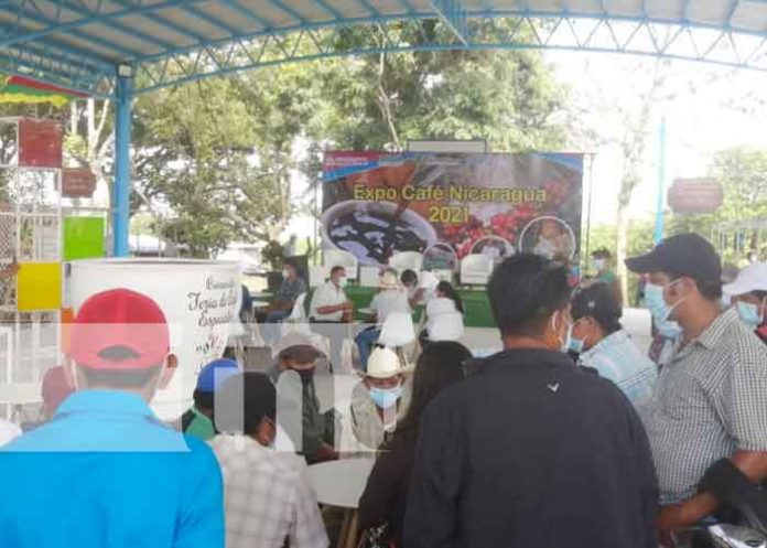 expo-cafe-boaco-1 nicaragua, cafe, expo, boaco, feria,