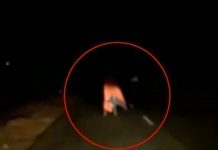 Actor comparte insólito video de su encuentro con un ‘fantasma’