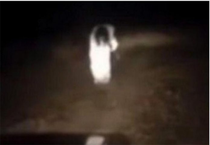 fantasma-s