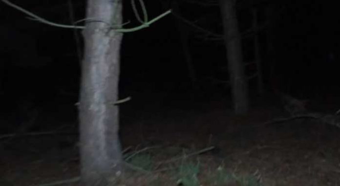 fantasma1