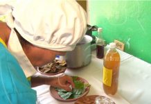 Todo listo para Feria de Infusiones, Tisanas y Cocimiento
