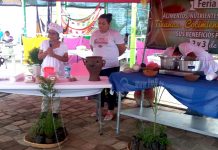 Familias conocen los beneficios de consumir el Jengibre